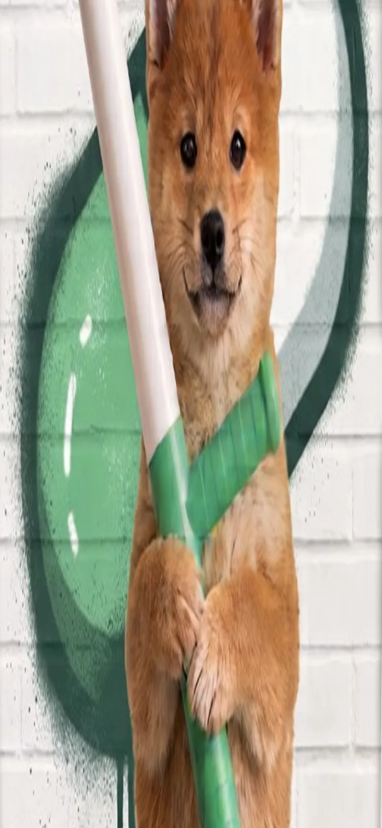 Mobile, the dog