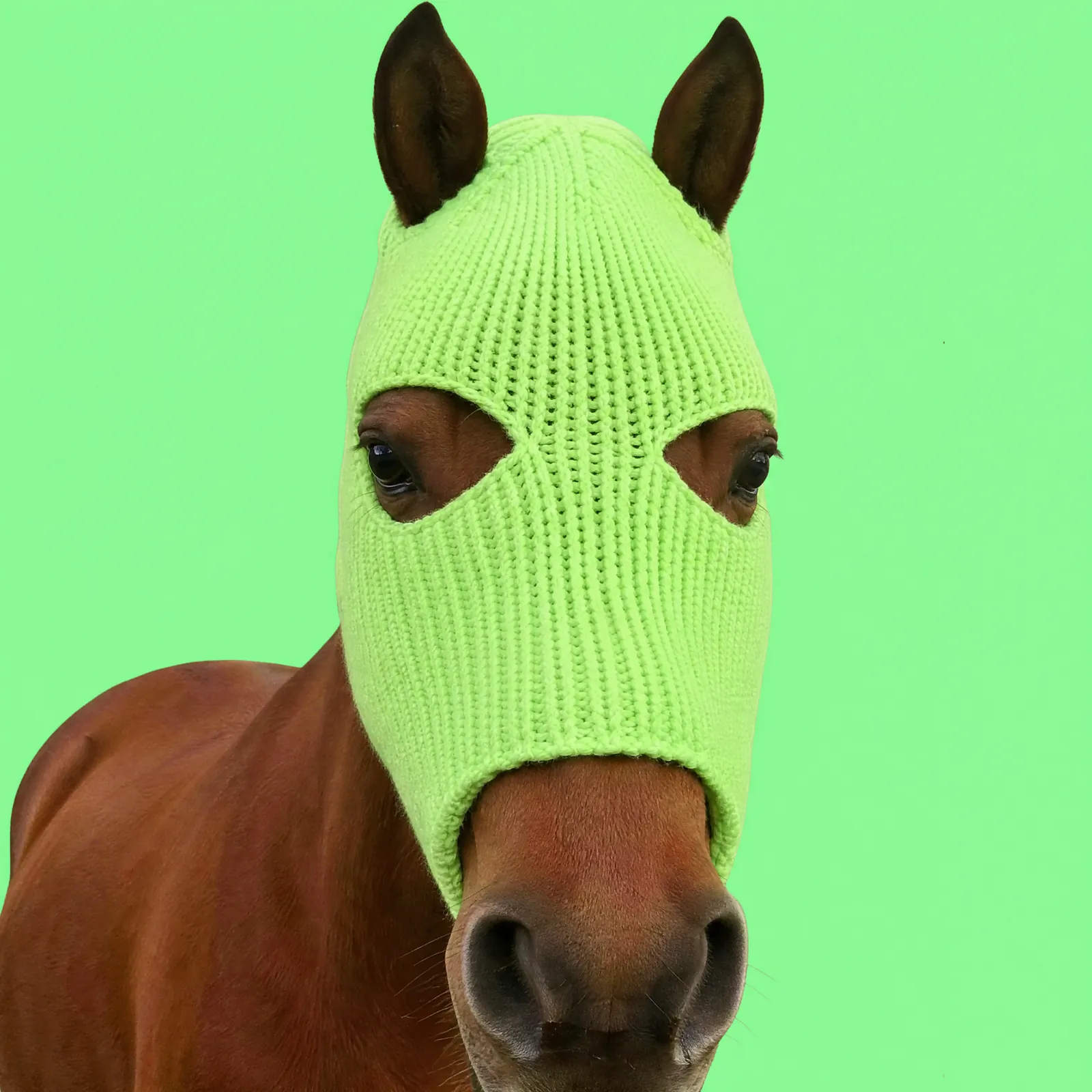 Bay · neon lime