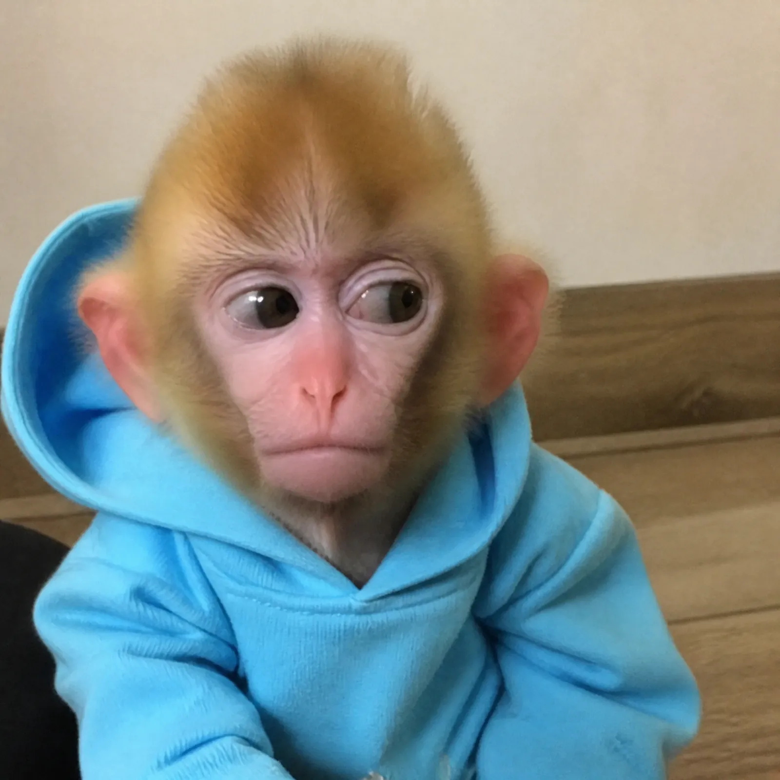 monke
