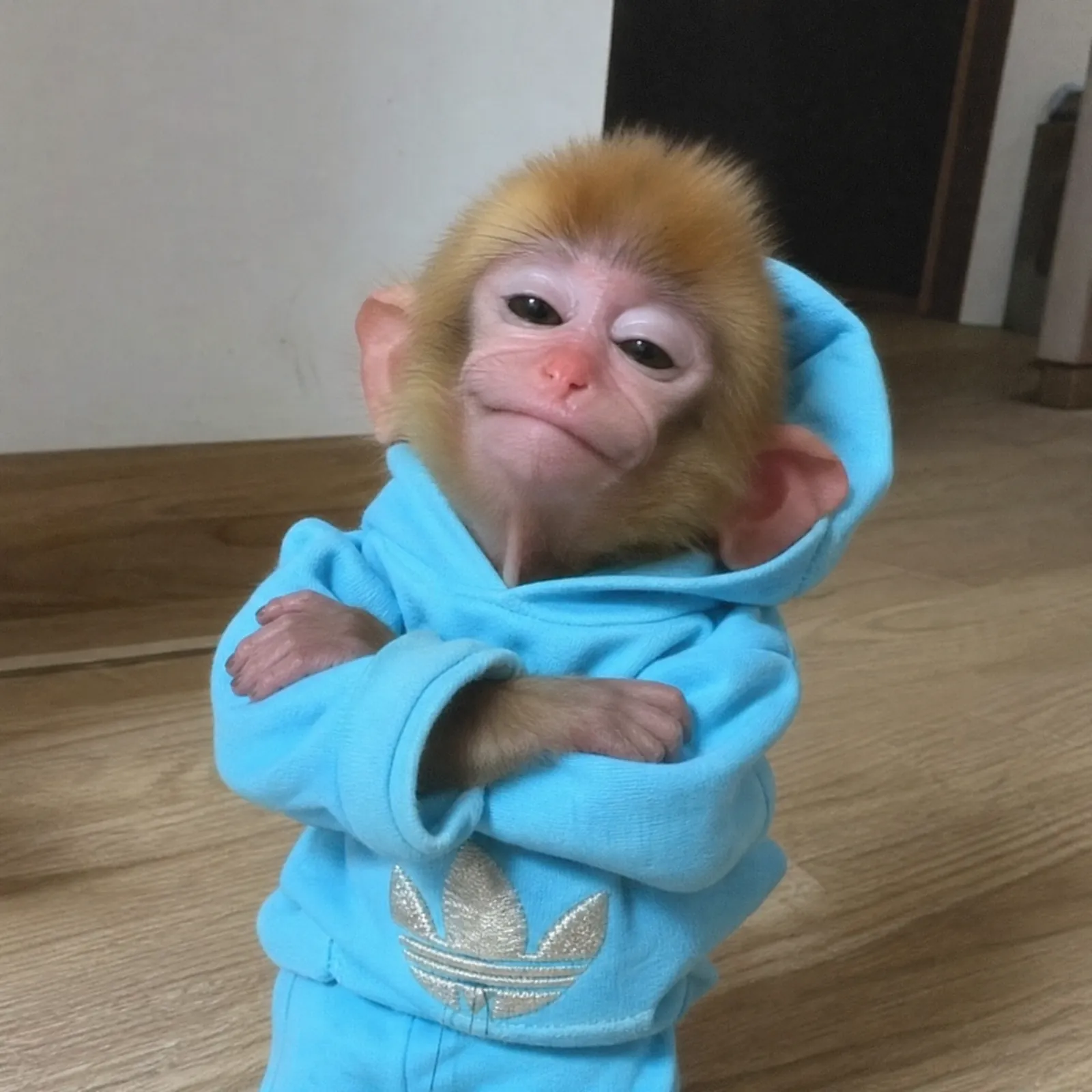 monke