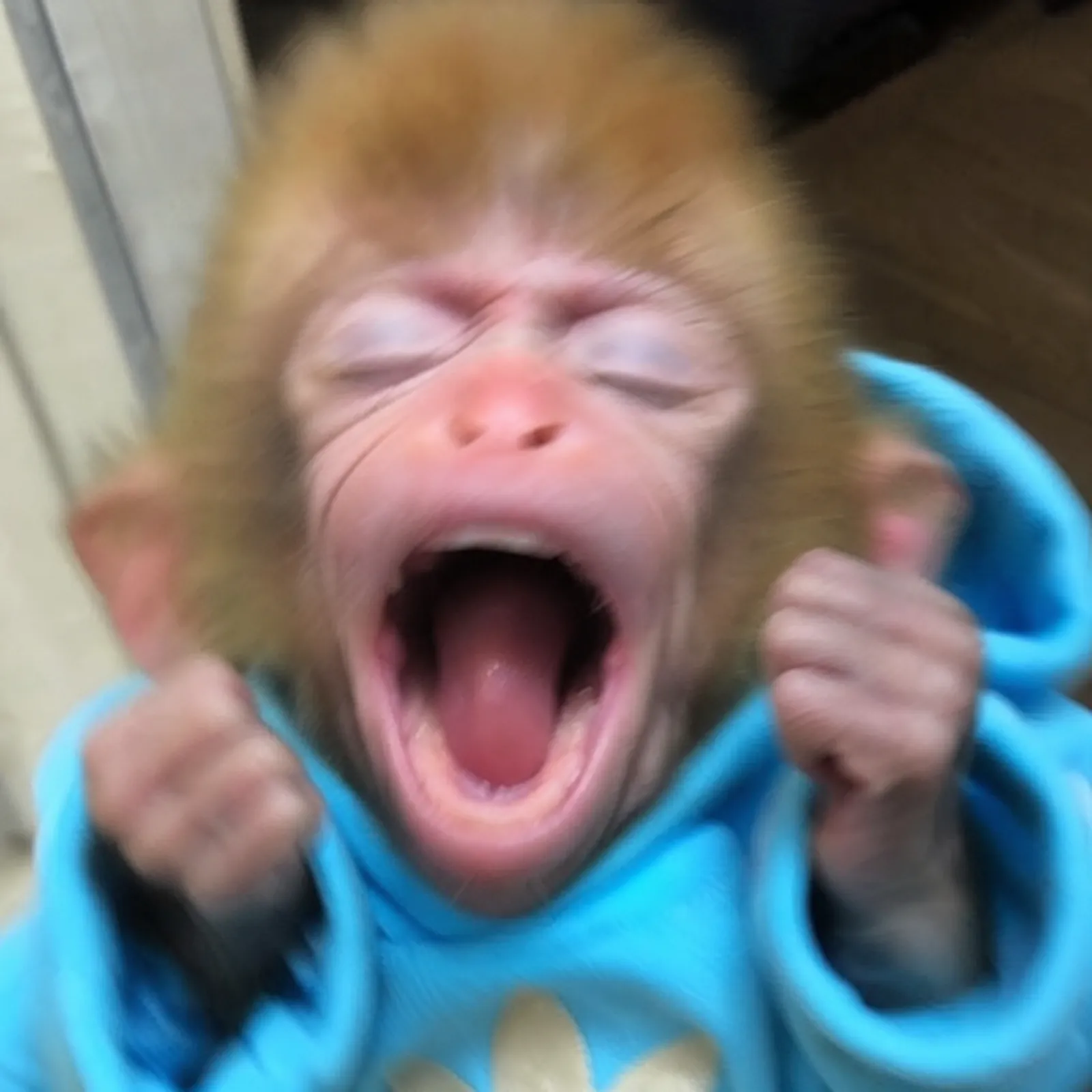 monke