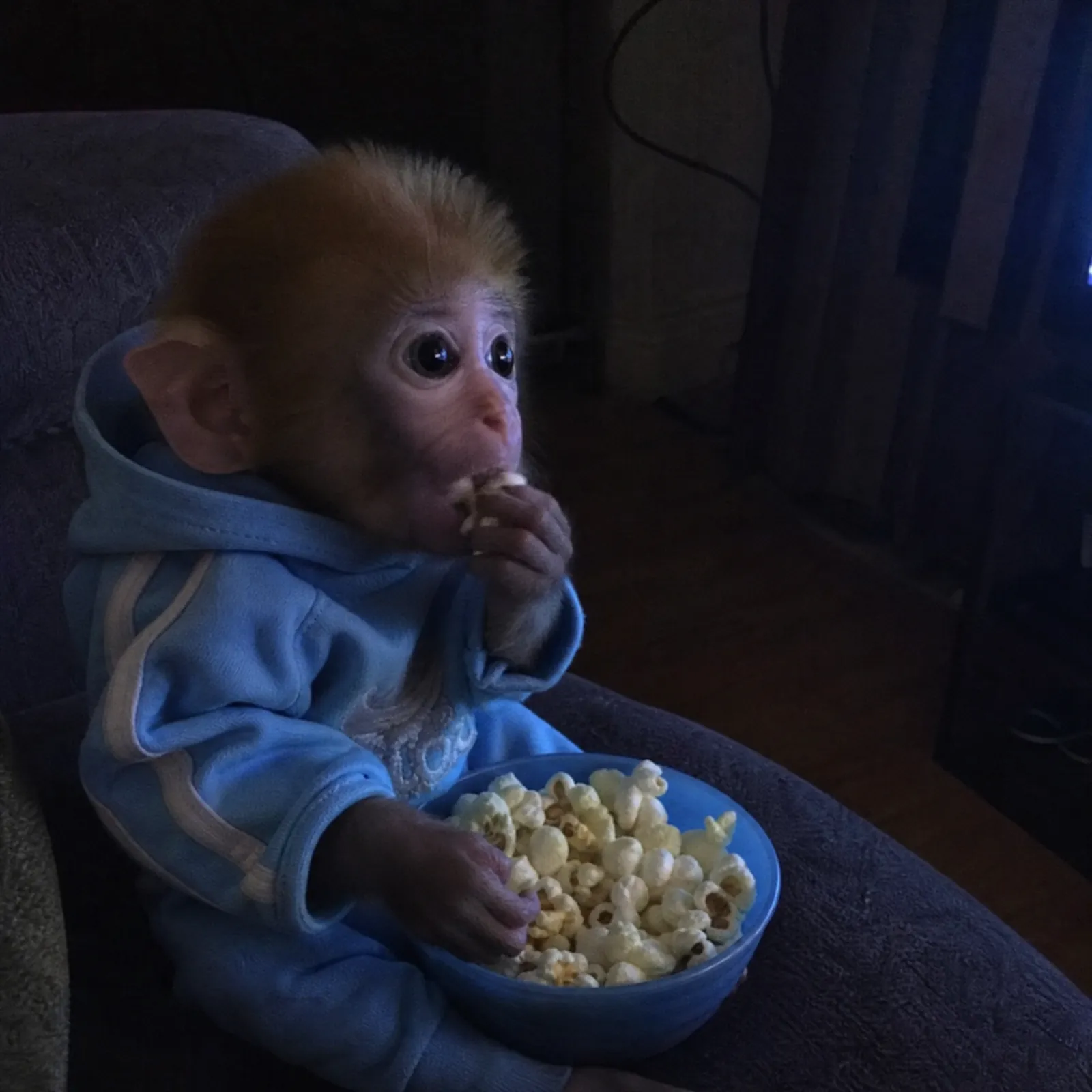 monke