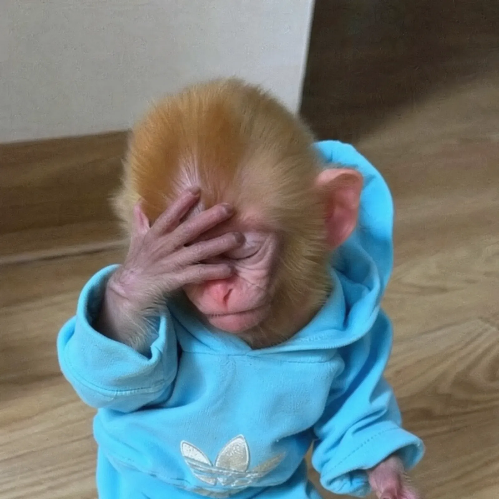 monke