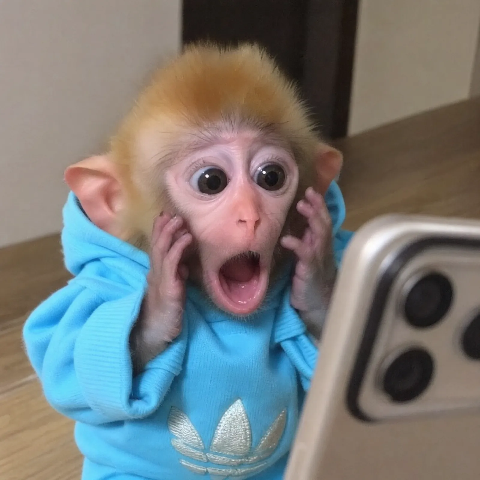 monke